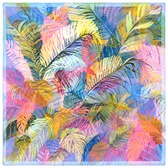 Morning in the tropics